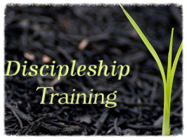 Discipleship Training